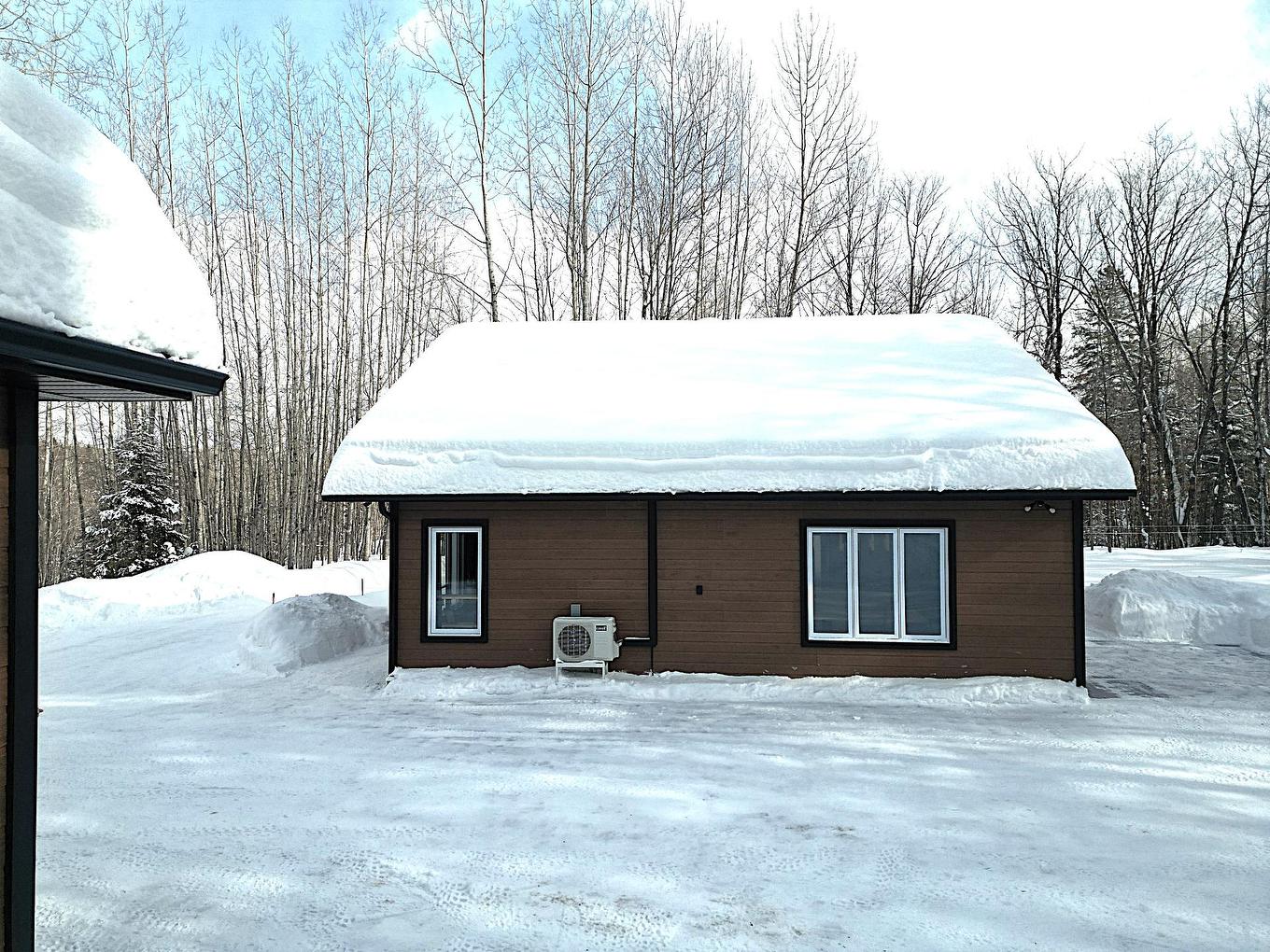 Exterior - 153 Ch. Roy, Amherst, QC - Outdoor