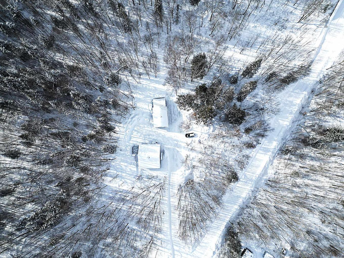 Overall view - 153 Ch. Roy, Amherst, QC - Outdoor