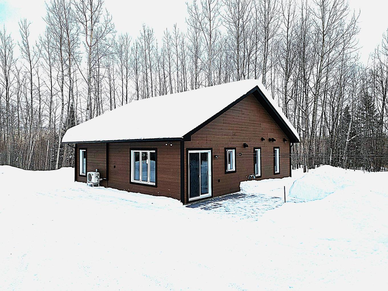 Exterior - 153 Ch. Roy, Amherst, QC - Outdoor