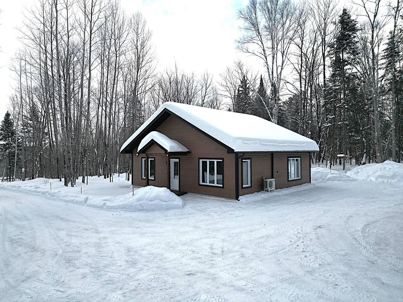 Exterior - 153 Ch. Roy, Amherst, QC - Outdoor