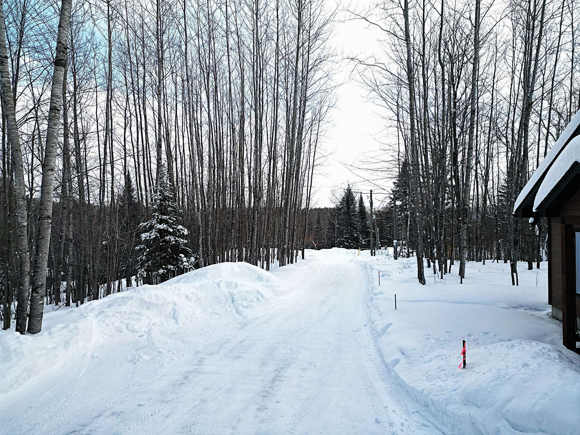 Extérieur - 153 Ch. Roy, Amherst, QC - Outdoor