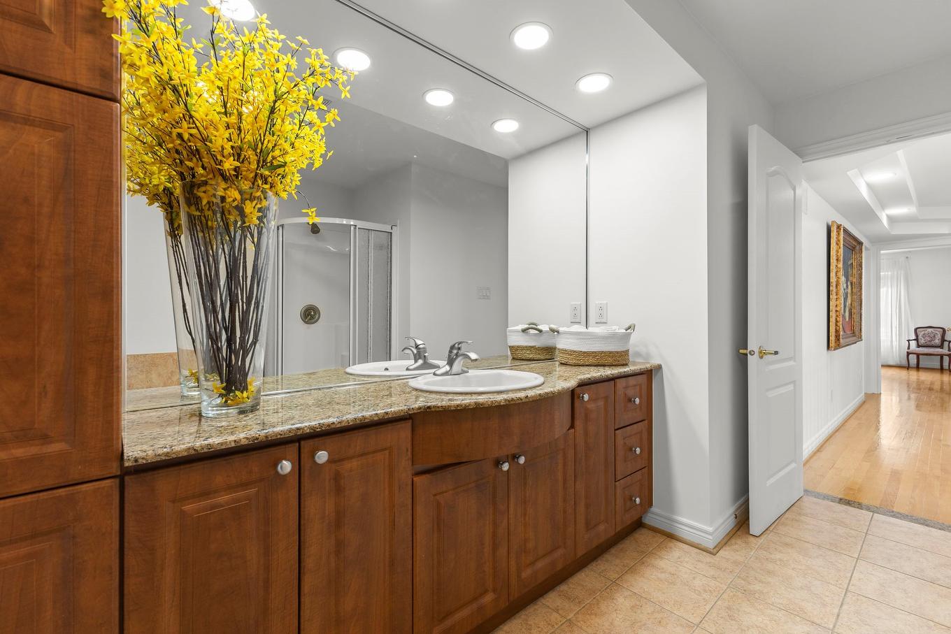 Bathroom - 241 Rue Dali, Dollard-Des-Ormeaux, QC - Indoor Photo Showing Bathroom