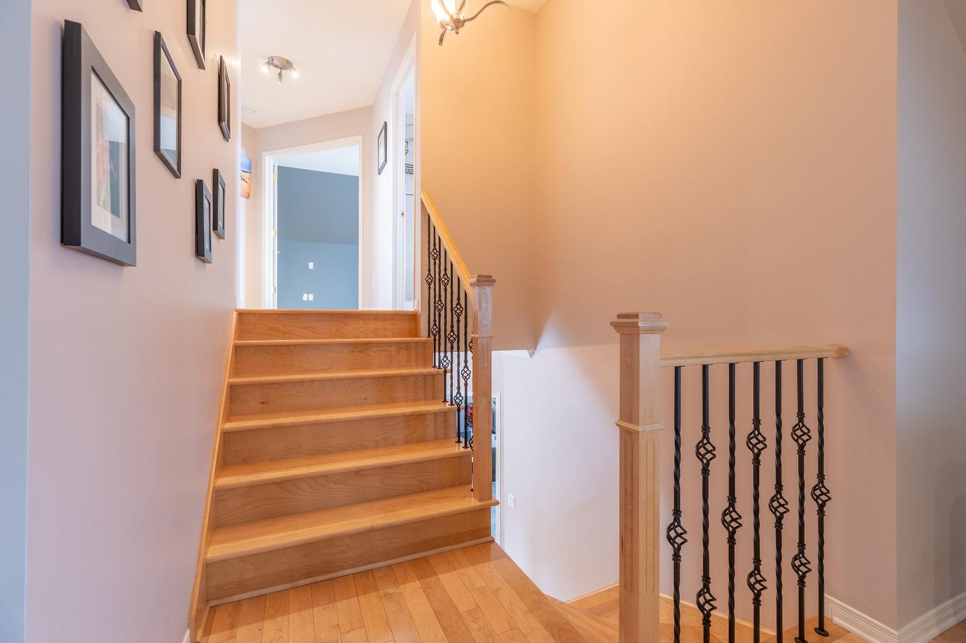 Passageway - 83 Rue Jean-Paul-Lemieux, Notre-Dame-De-L'Île-Perrot, QC - Indoor Photo Showing Other Room