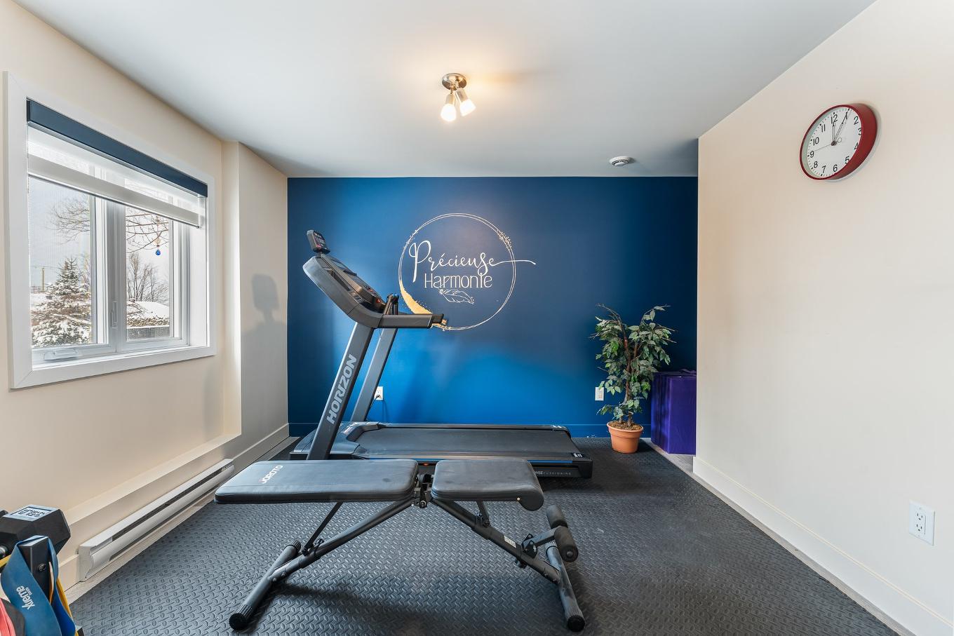 Chambre à coucher - 531 Rue Casavant, Granby, QC - Indoor Photo Showing Gym Room