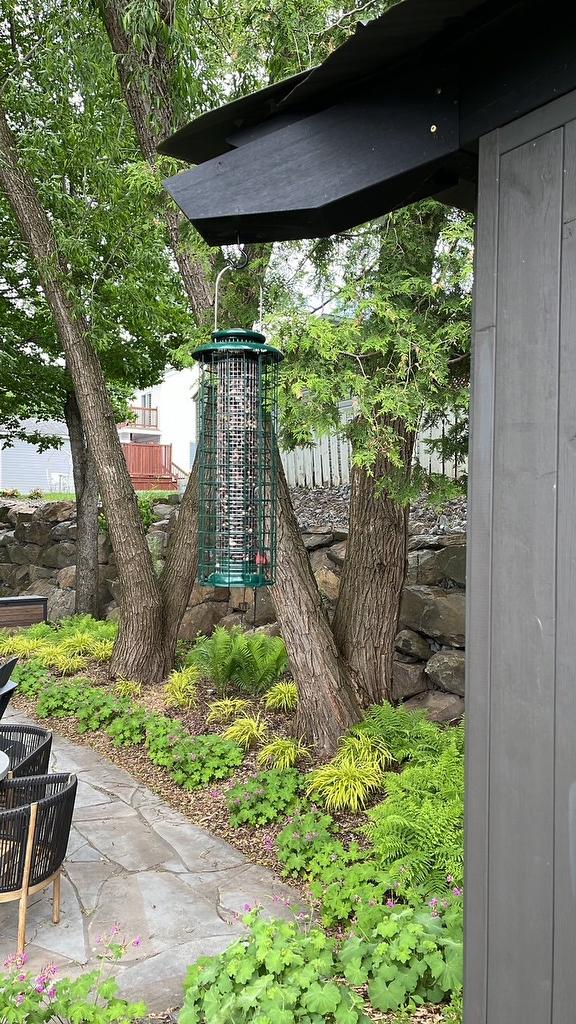 Cour - 531 Rue Casavant, Granby, QC - Outdoor