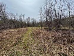 Land/Lot -