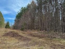 Land/Lot -