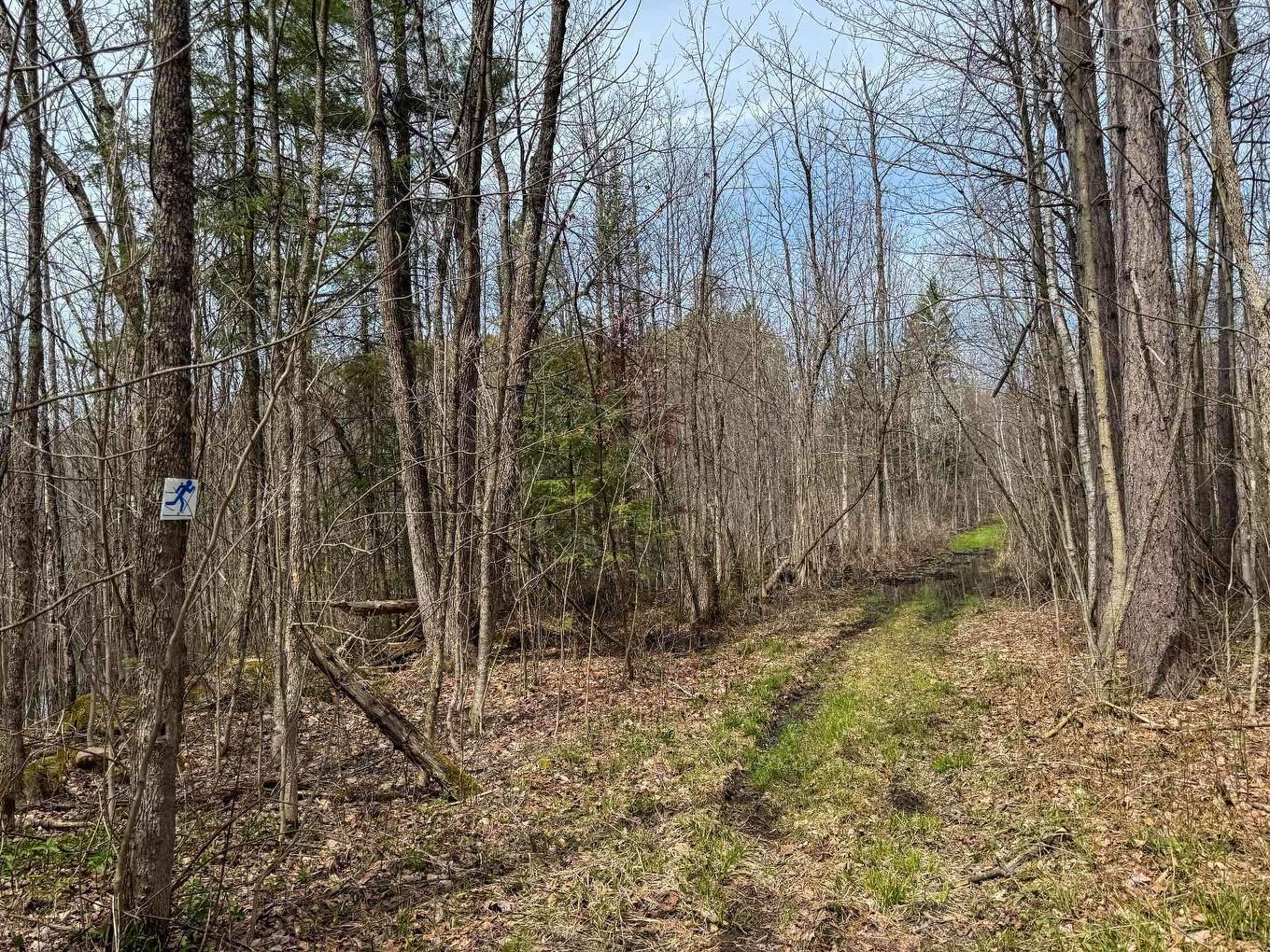 Terre/Terrain - Route Des Outaouais, Brownsburg-Chatham, QC