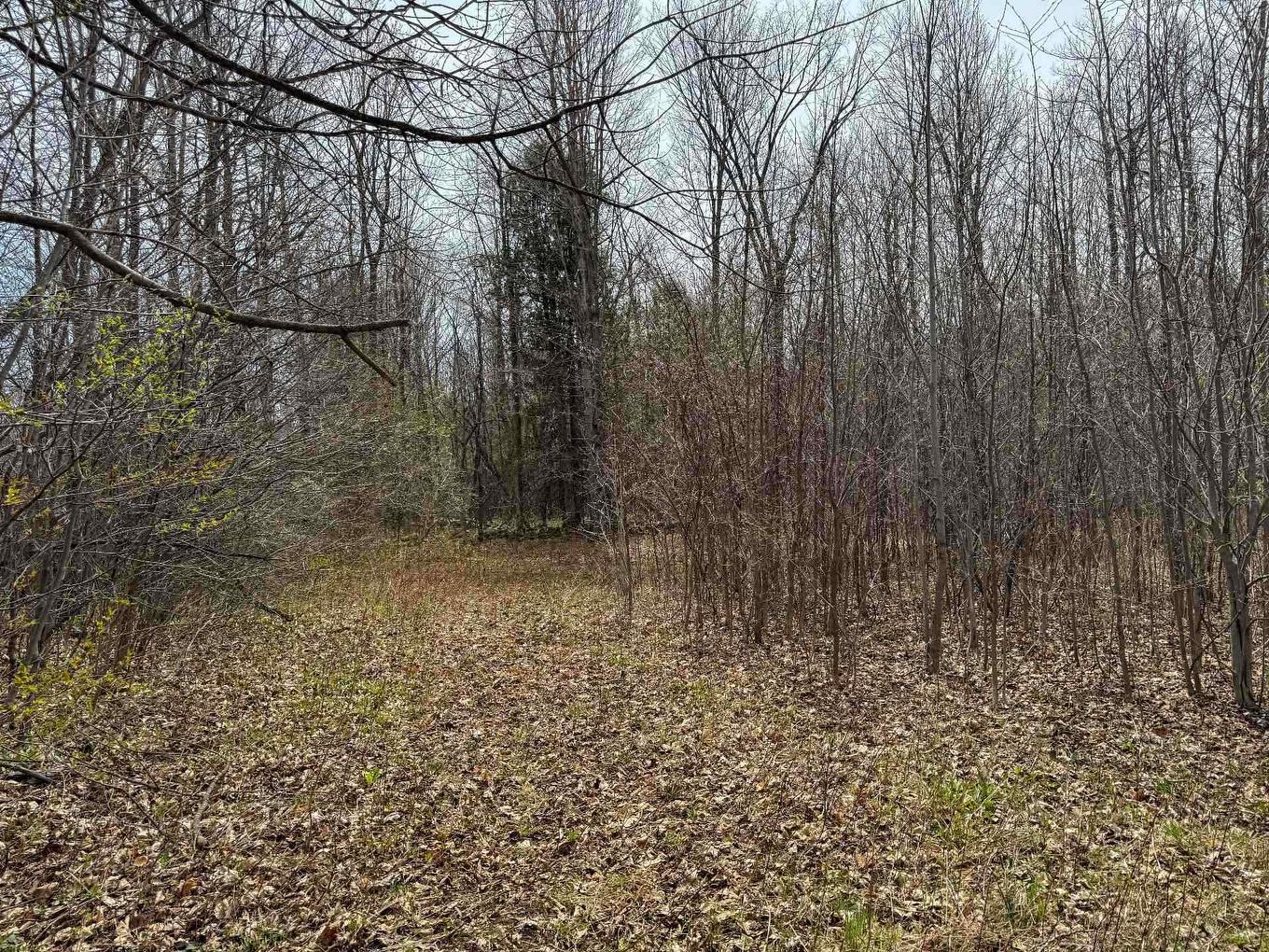 Terre/Terrain - Route Des Outaouais, Brownsburg-Chatham, QC