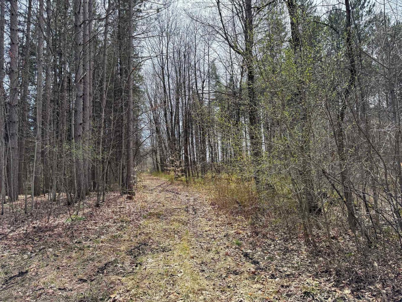 Terre/Terrain - Route Des Outaouais, Brownsburg-Chatham, QC