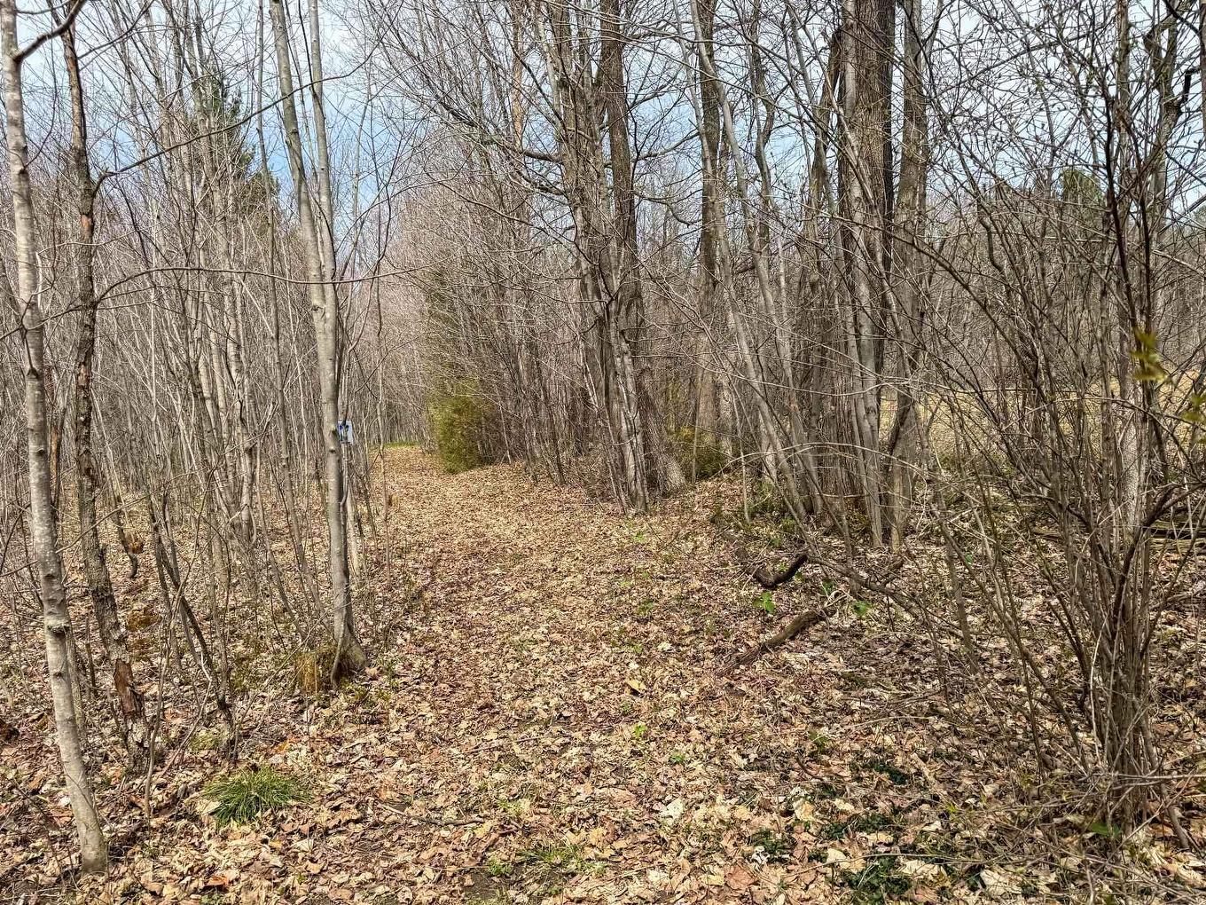 Terre/Terrain - Route Des Outaouais, Brownsburg-Chatham, QC