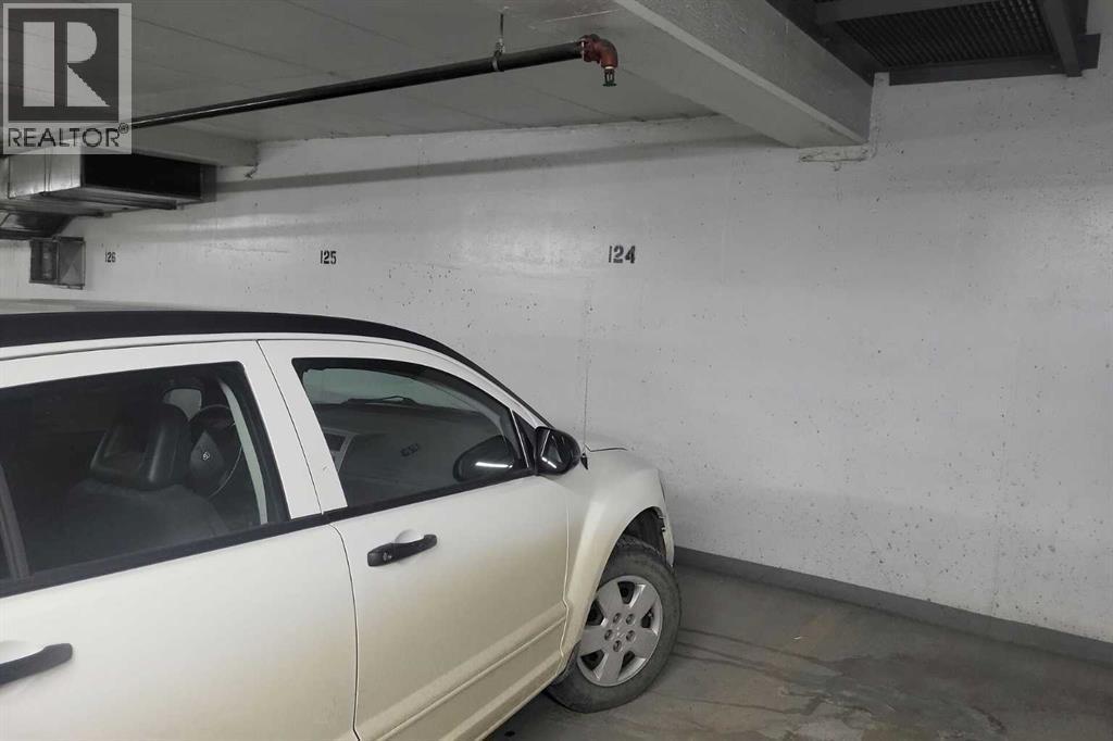 2804, 1320 1 Street Se, Calgary, AB - Indoor Photo Showing Garage