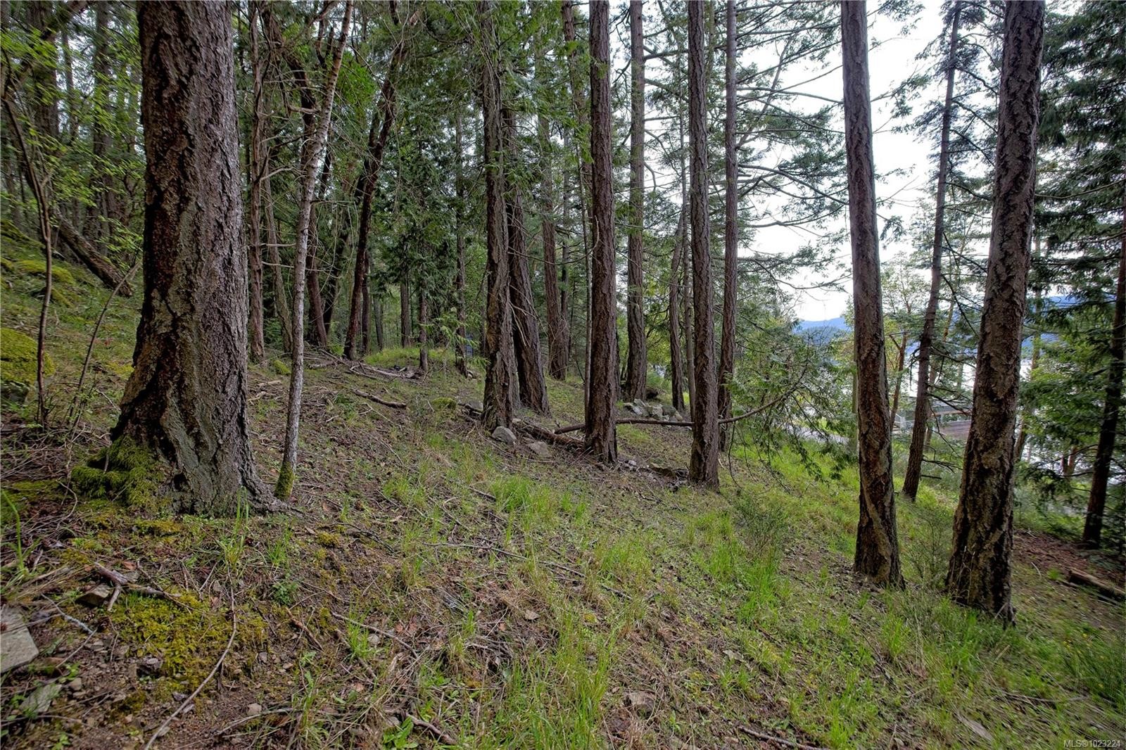 240 Old Scott Rd, Salt Spring, BC