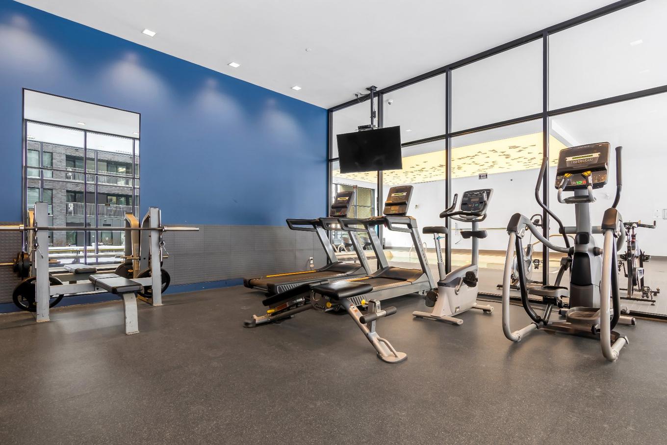 Exercise room - 902-185 Rue Du Séminaire, Montréal (Le Sud-Ouest), QC - Indoor Photo Showing Gym Room