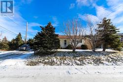25 Birch Hill Pouch Cove, NL A0A 3L0