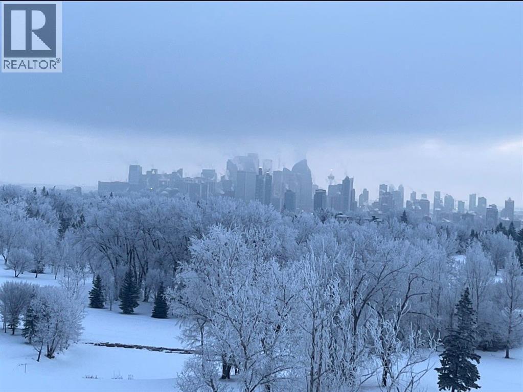 602, 99 Spruce Place Sw, Calgary, AB - Outdoor With View