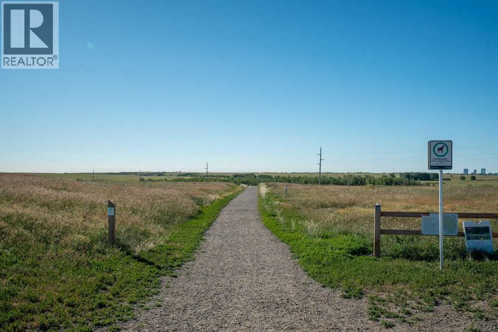 Nosehill Park - 987 Berkley Drive Nw, Calgary, AB - Outdoor With View