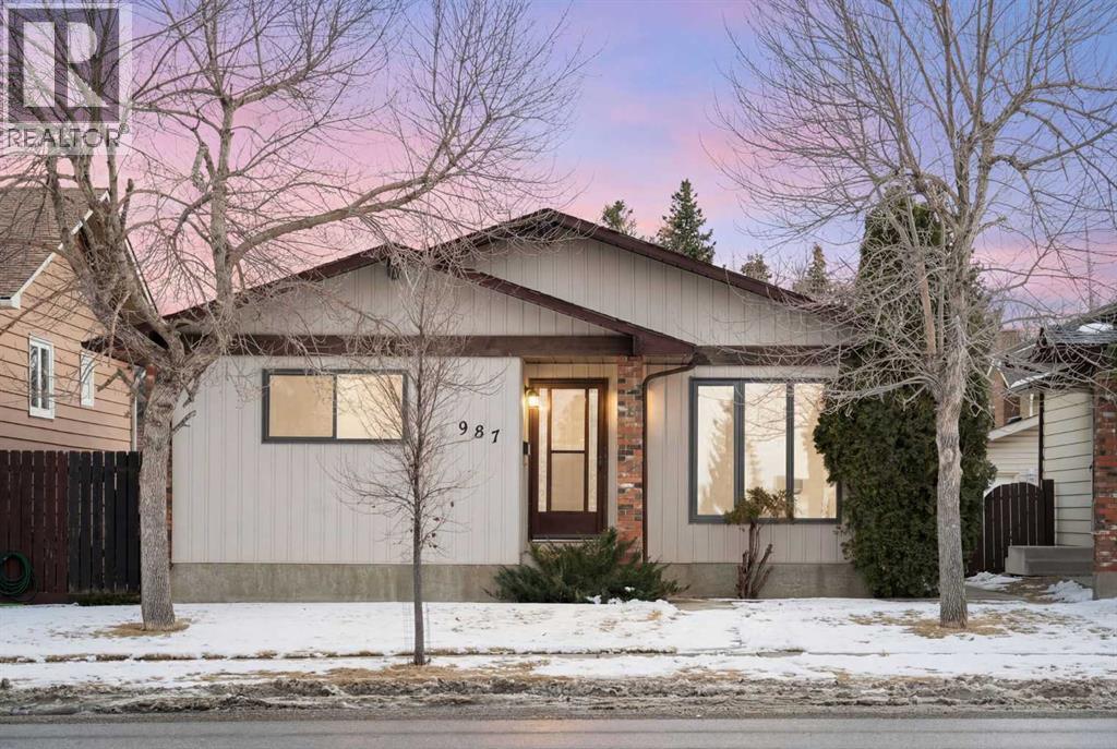 987 Berkley Drive Nw, Calgary, AB - Outdoor
