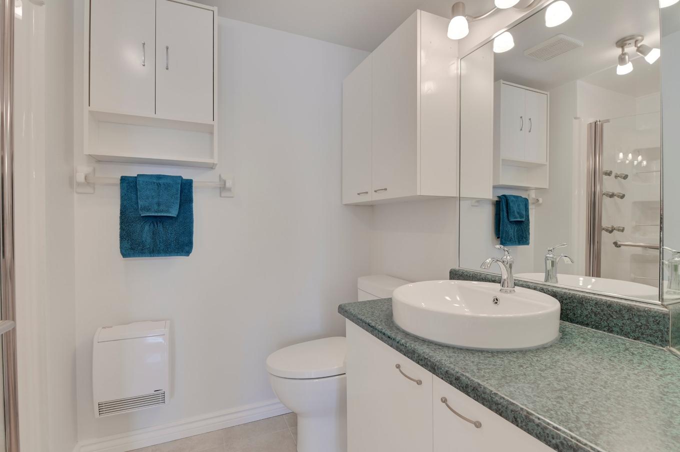 Salle de bains - 1137 Rue De L'Aigue-Marine, Québec (Charlesbourg), QC - Indoor Photo Showing Bathroom