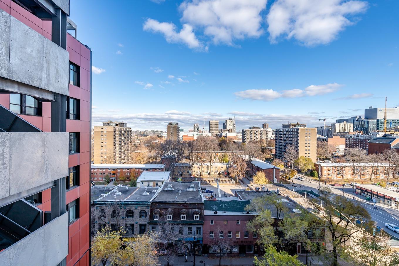 Vue d'ensemble - 1003-1 Boul. De Maisonneuve O., Montréal (Ville-Marie), QC - Outdoor With View