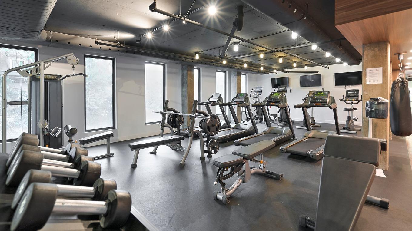 Salle d'exercice - 1003-1 Boul. De Maisonneuve O., Montréal (Ville-Marie), QC - Indoor Photo Showing Gym Room