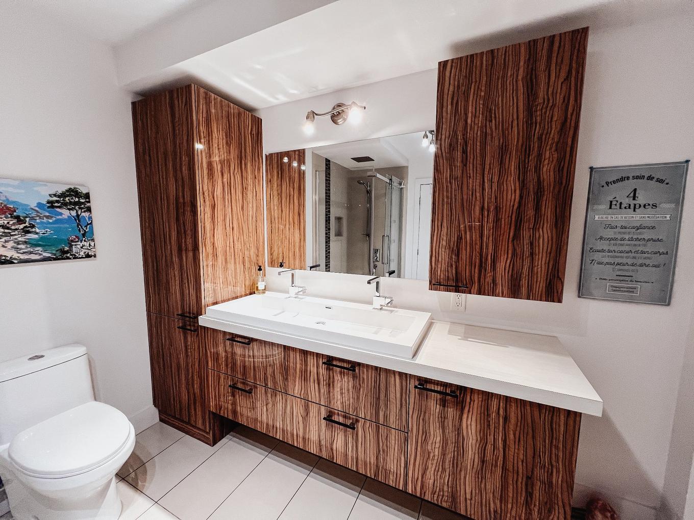 Salle de bains - 401-450 Av. De La Belle-Dame, La Prairie, QC - Indoor Photo Showing Bathroom