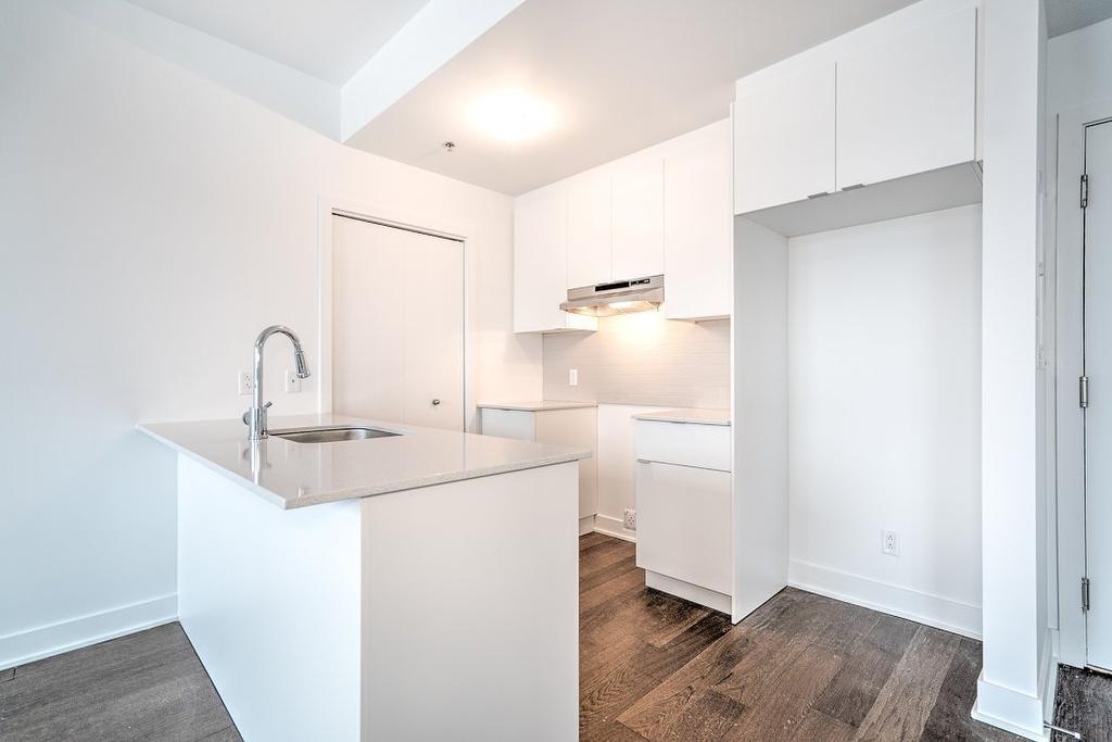 Cuisine - 602-1700 Rue Viola-Desmond, Montréal (Lasalle), QC - Indoor Photo Showing Kitchen