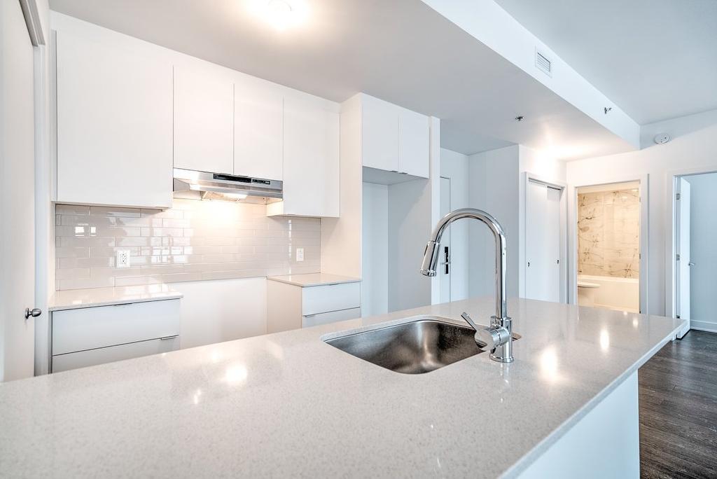 Cuisine - 602-1700 Rue Viola-Desmond, Montréal (Lasalle), QC - Indoor Photo Showing Kitchen With Upgraded Kitchen