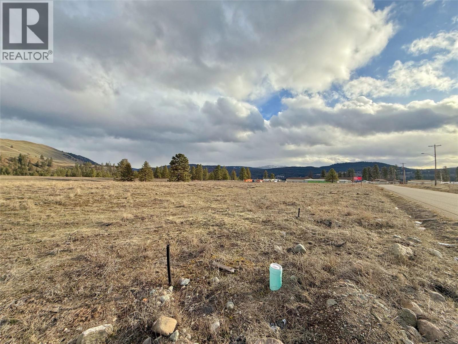 244 David Brown Way, Princeton, BC