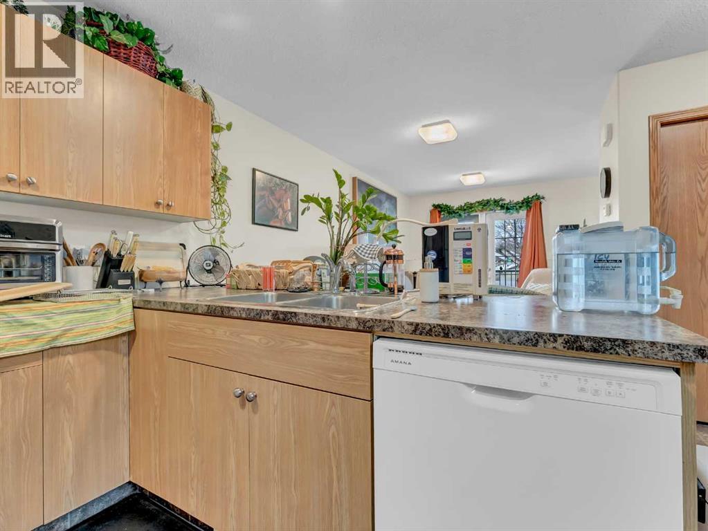 628 Industrial Avenue Se, Medicine Hat, AB - Indoor Photo Showing Kitchen With Double Sink