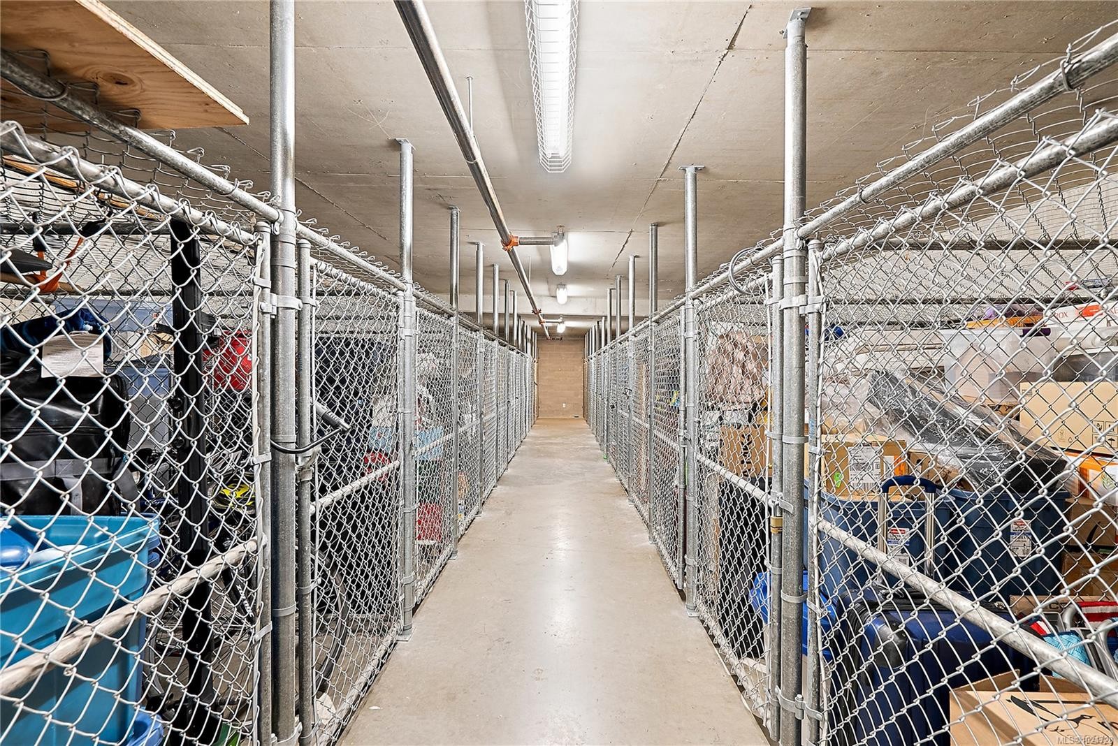 S204-737 Humboldt St, Victoria, BC - Indoor With Storage