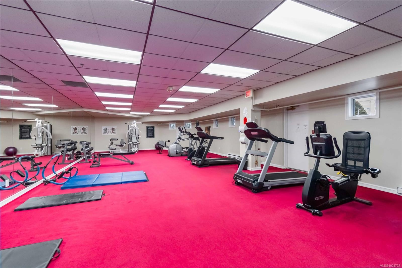 203-165 Kimta Rd, Victoria, BC - Indoor Photo Showing Gym Room