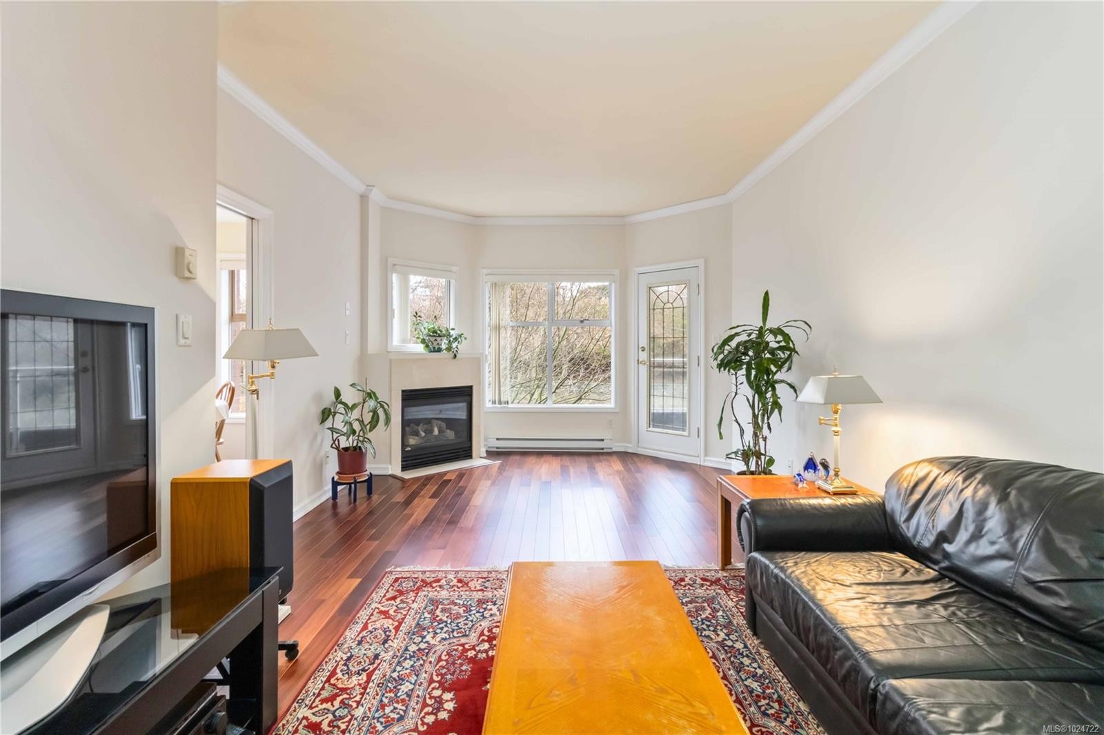 203-165 Kimta Rd, Victoria, BC - Indoor Photo Showing Living Room With Fireplace