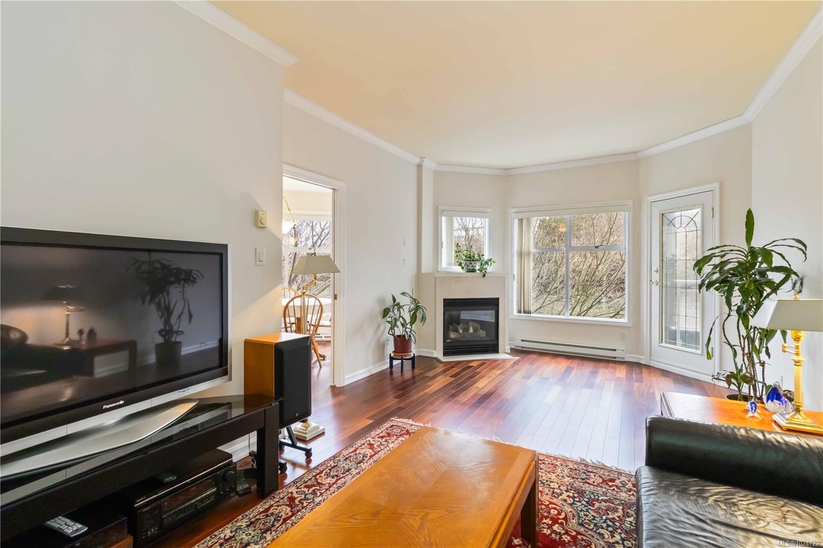 203-165 Kimta Rd, Victoria, BC - Indoor Photo Showing Living Room With Fireplace