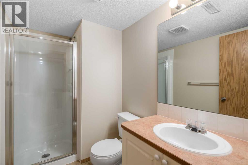 115 Chaparral Point Se, Calgary, AB - Indoor Photo Showing Bathroom