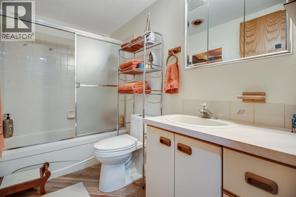 607 9 Street Se, High River, AB - Indoor Photo Showing Bathroom