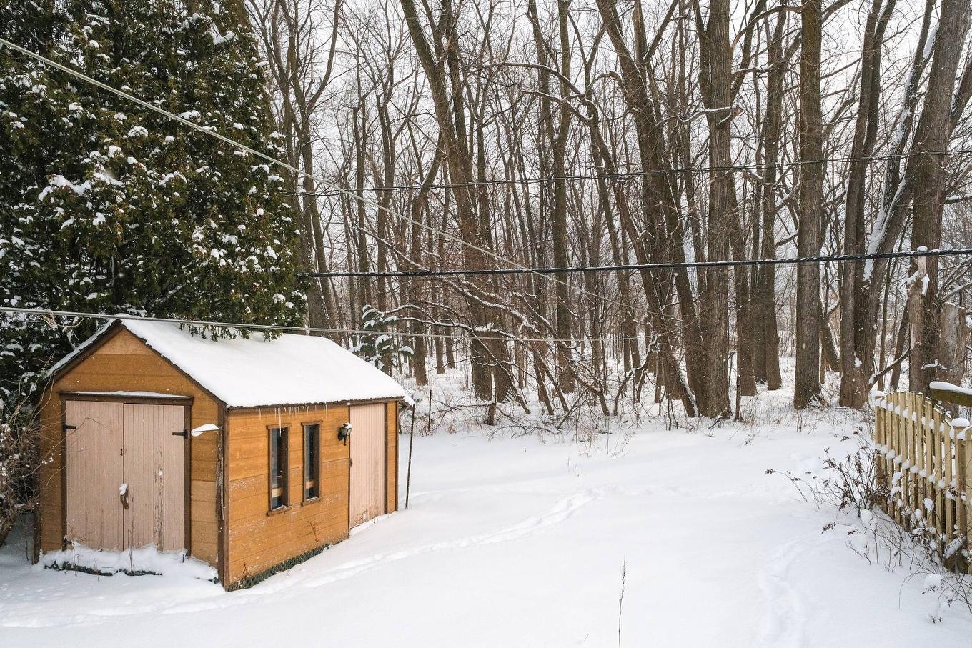 Cour - 416 Rue Forest, Mont-Saint-Hilaire, QC