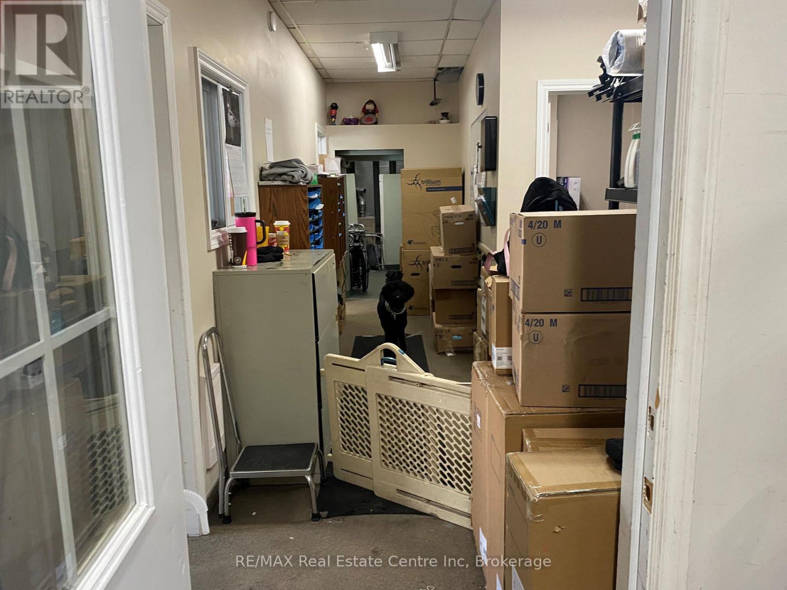 25 Commercial Street, Milton (Om Old Milton), ON