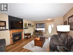 gas fireplace (propane) -