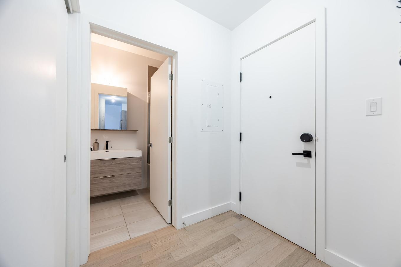 Hall - 106-75 Rue De Castelnau O., Montréal (Villeray/Saint-Michel/Parc-Extension), QC - Indoor Photo Showing Other Room