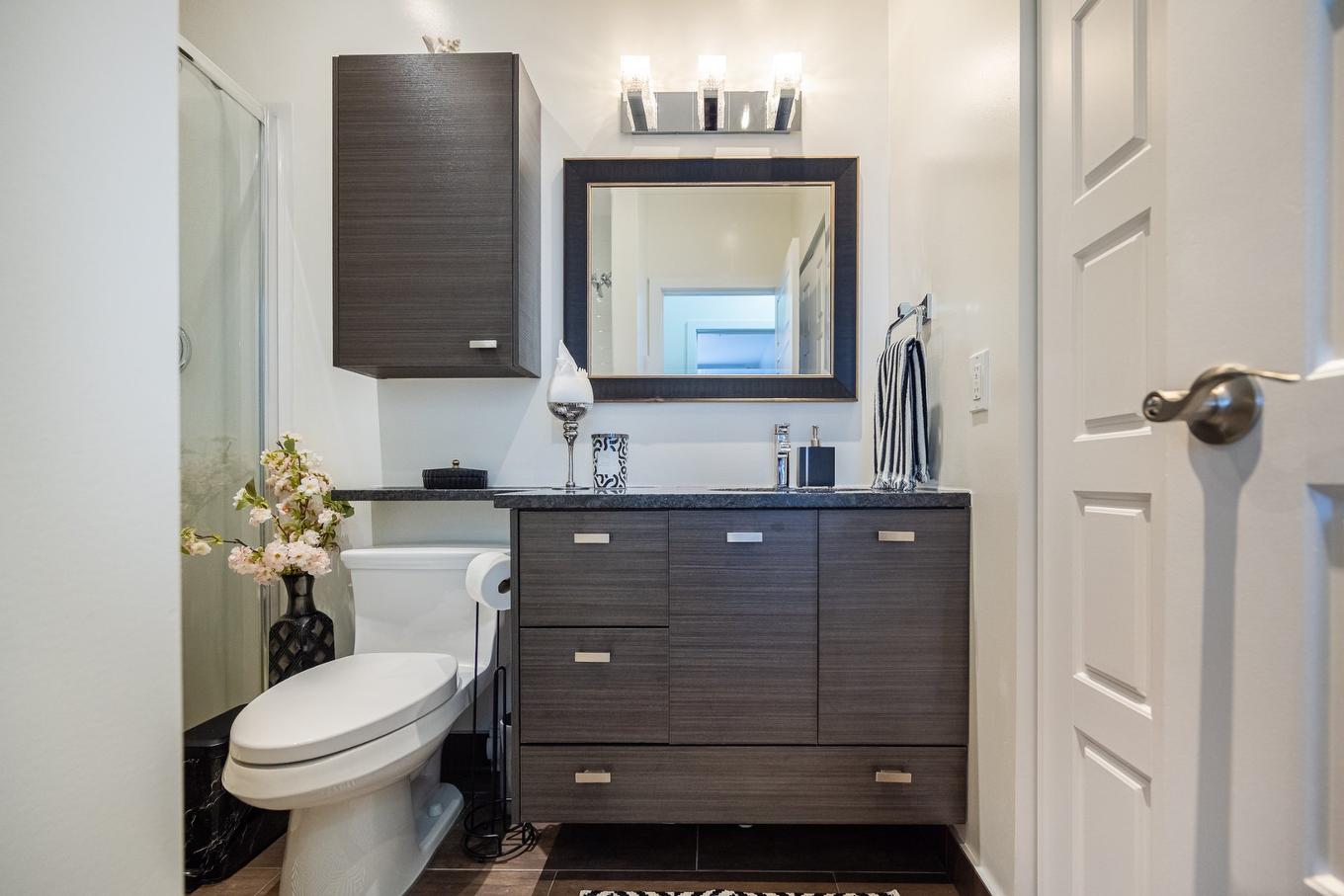 Bathroom - 308-346 Rue Laurier, Laval (Laval-Des-Rapides), QC - Indoor Photo Showing Bathroom