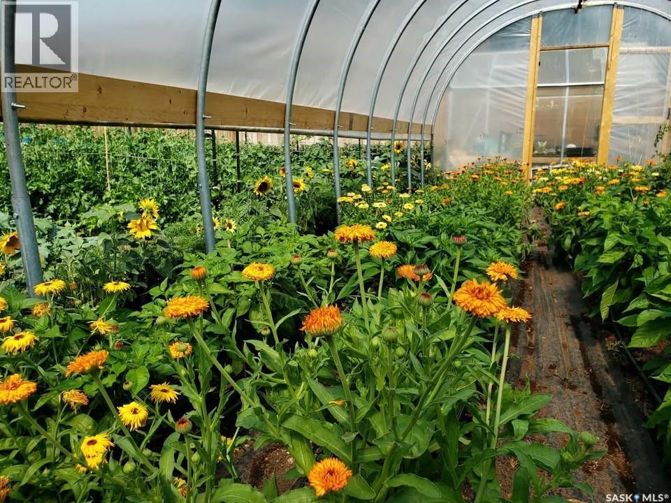 233 High Avenue, Saltcoats, SK - Outdoor