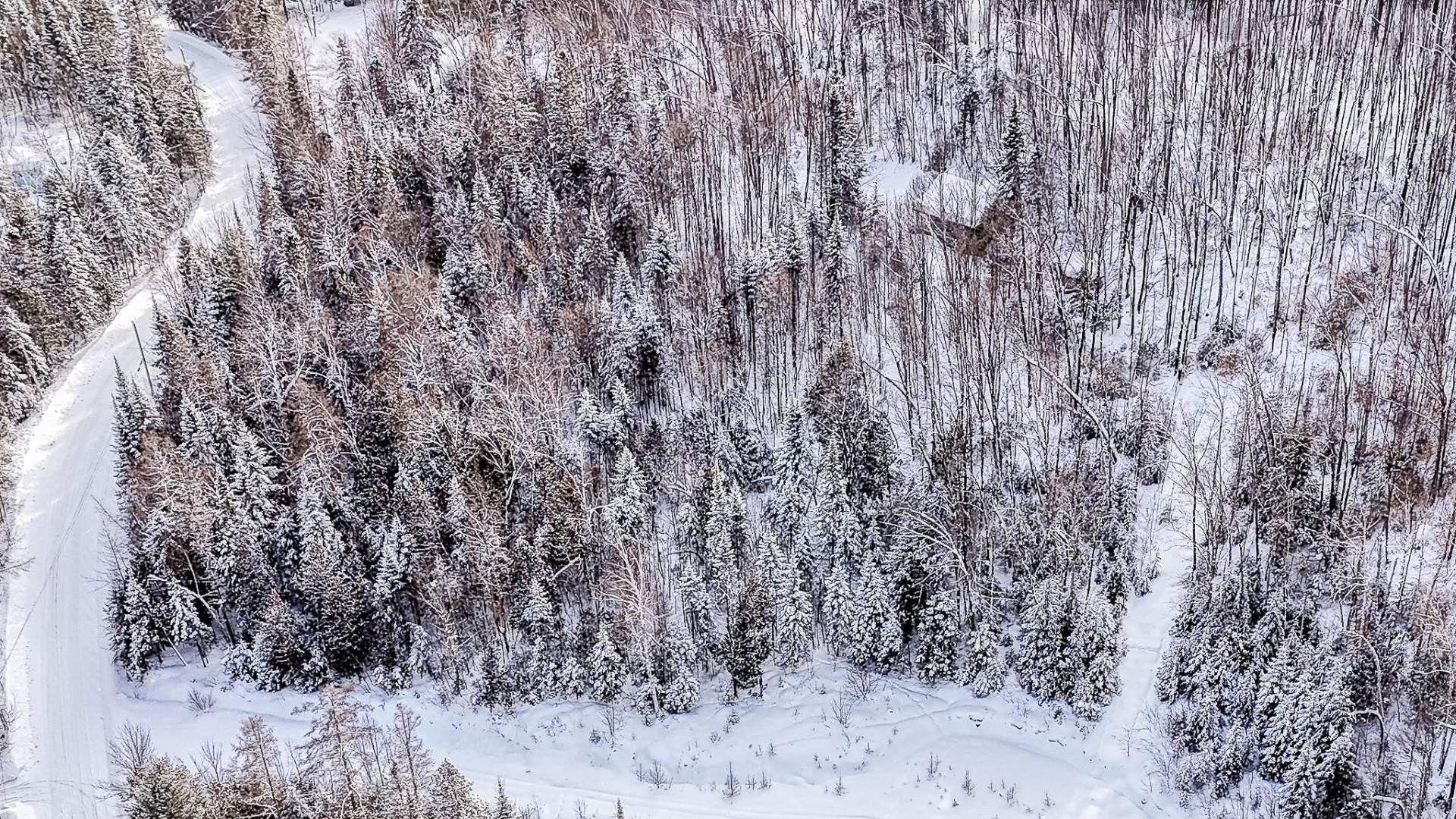 Photo aérienne - Av. Morin, Chertsey, QC