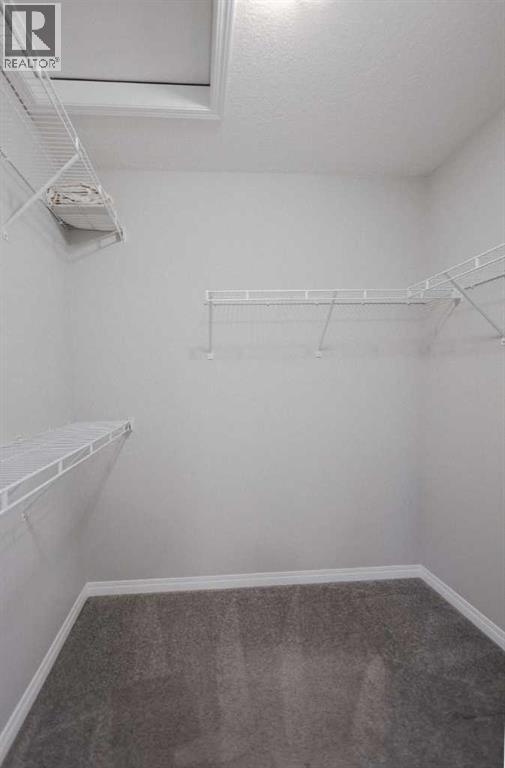 231 Windford Crescent Sw, Airdrie, AB - Indoor With Storage