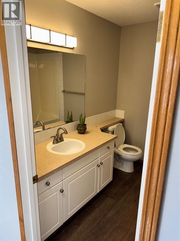 61 Lakeview Close, Blackfalds, AB - Indoor Photo Showing Bathroom