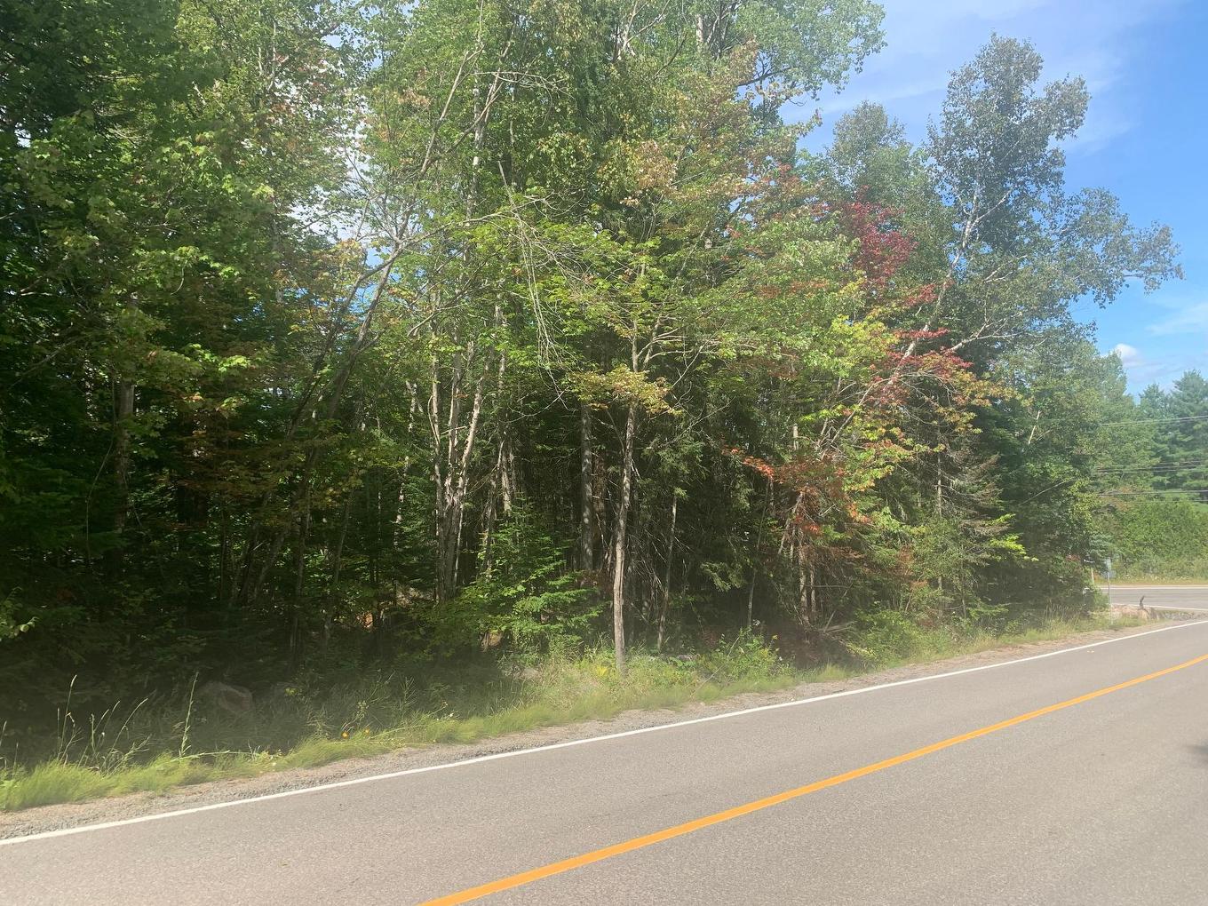 Land/Lot - Ch. Fusey, Saint-Donat, QC