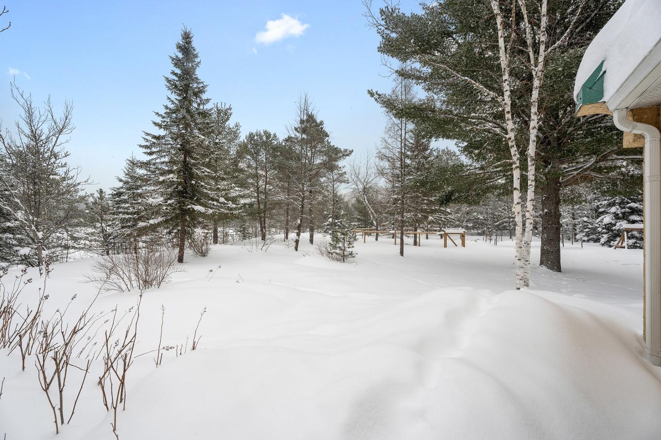 Land/Lot - 1750 Mtée Kavanagh, Mont-Tremblant, QC - Outdoor With View