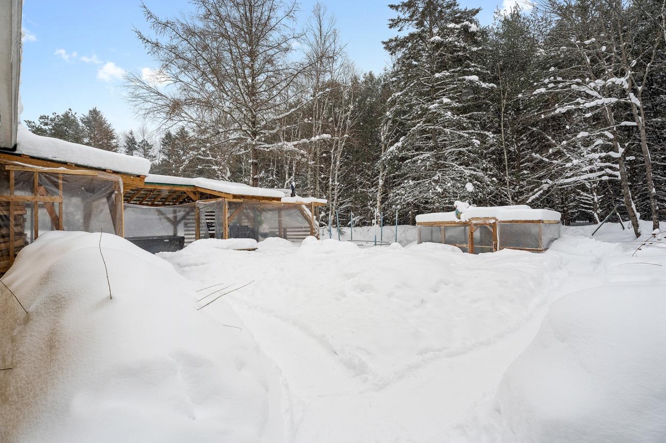Land/Lot - 1750 Mtée Kavanagh, Mont-Tremblant, QC - Outdoor