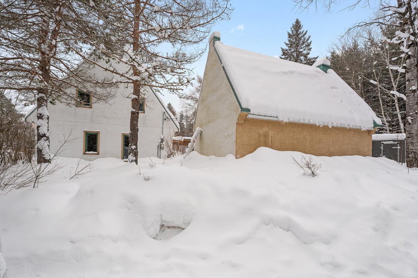 Overall view - 1750 Mtée Kavanagh, Mont-Tremblant, QC - Outdoor