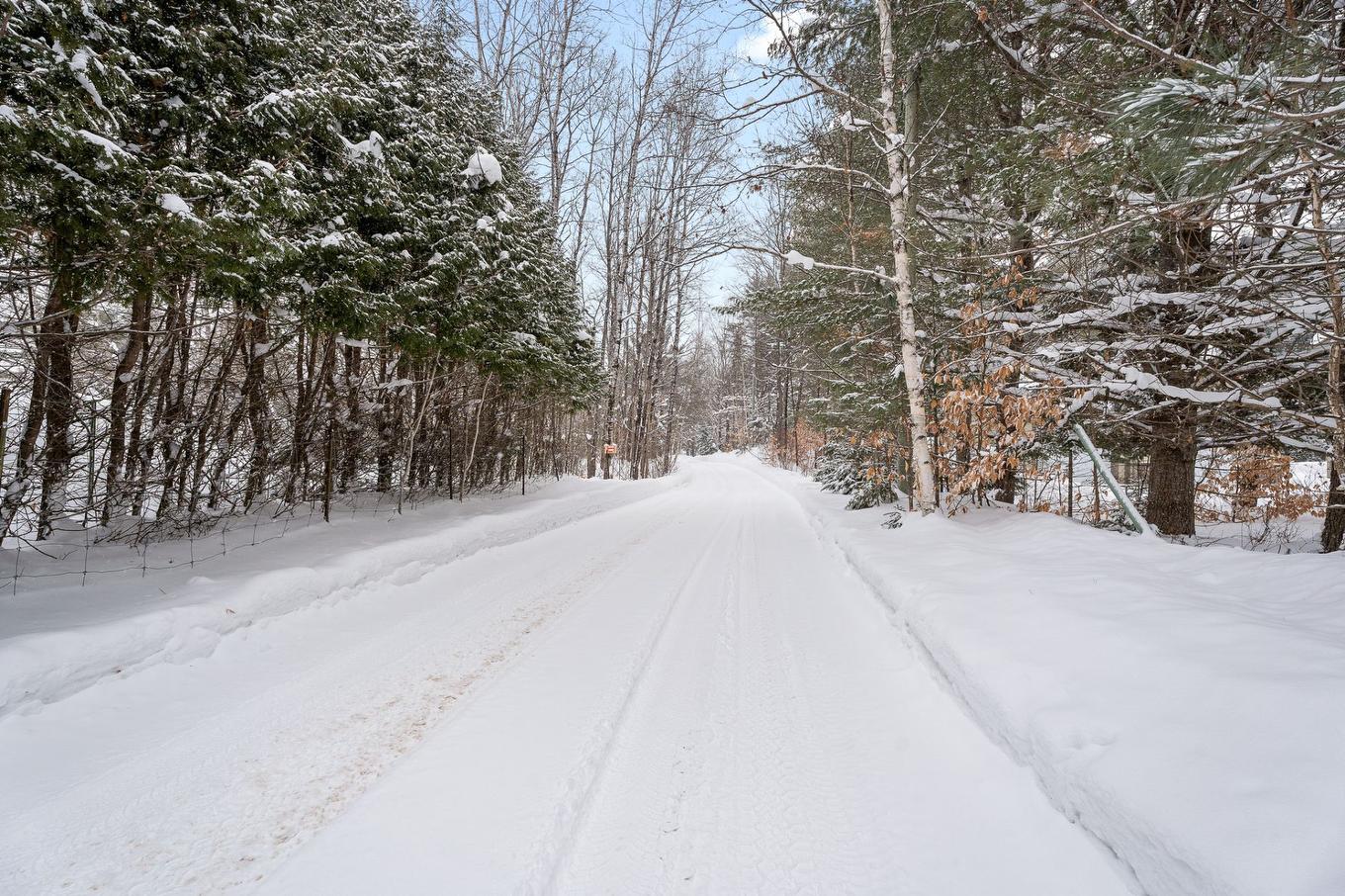 Street - 1750 Mtée Kavanagh, Mont-Tremblant, QC - Outdoor With View